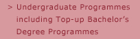 PolyU SPEED Undergraduate Programmes including Top-up Bachelor